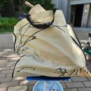 옷사랑 | 집 정리가 쉬워진 꿀경험✨ 헌옷사랑 후기 (대전·공주·금산 헌옷수거 전문)