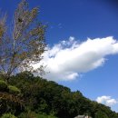 빅토리오토모티브그룹(주) 이미지