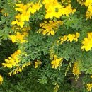 내가만약 이미지