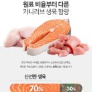 러브 스핑크스 이미지