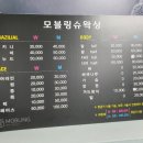 모블링슈왁싱