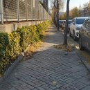 용연로 98번길 티스토리