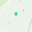 김희태농장 | ‘울금’의 역사 기록 검토와 해석