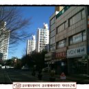 보브헤어(VOV)
