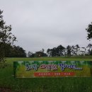 항몽유적지 이미지