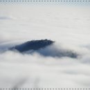 반포대로 110 이미지