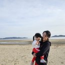 일곱번째 고양이 펜션 이미지