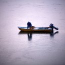 탄금호의 아침 이미지