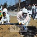 배양1리 이미지