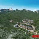 더 파인트리 이미지