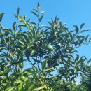 오아시스휴양펜션 이미지