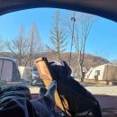 옥화자연휴양림 국민여가오토캠핑장 | 청주 옥화자연휴양림 국민여가오토캠핑장