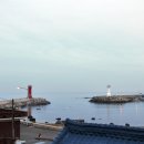 동백아나고 이미지