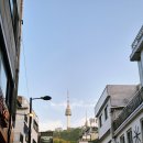 보스코 호텔 | 명동역 놀거리｜N Seoul Tower 야경｜명동 넬보스코 비추후기｜레스케이프 호텔｜Travel to Myeong-dong