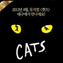 뮤지컬 ＜캣츠＞ 대구공연 4.4-8 계명아트센터 - 인순이, 박해미, 홍지민 출연! 이미지