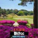 화산 | 화산cc 5월 라운드 후기