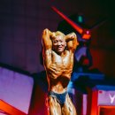 학교폭력예방 복싱과 주짓수 임파파 체육관 이미지