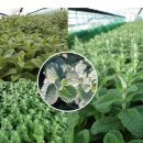 다정한 농장 이미지