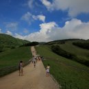 가리왕산목장 이미지