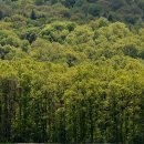 명상 - 자연 이미지