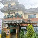 버드나무 이미지