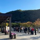 무궁화동산 족구장 화장실 | [곤지암 화담숲 2025년] 단풍시기 실시간 단풍 평일 방문후기 스탬프투어 상세후기