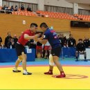 구로주짓수&MMA, 레슬링 이미지