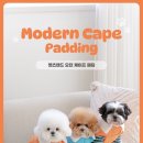 안밤 | ✧ 펫츠랜드 ⏐ 모던케이프 패딩 ✧