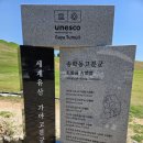 1호분식 | 경남 고성 가볼 만한 곳 유네스코 세계유산 송학동 고분군