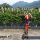 남도삼백리길(6코스) 이미지