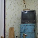 나무이야기민박 이미지