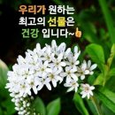 의사들은 절대 안먹는 음식 8가지 이미지