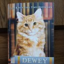 10/3 Dewey the library cat 후기 이미지