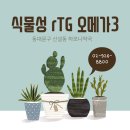 하모니약국 이미지