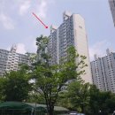 다산온누리약국 이미지