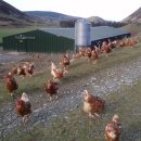 후천농장 이미지