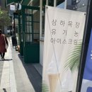 삼성알앤디캠퍼스 | [우면동 카페] 블로그 꿈나무의 디어포레스트 아이스크림라떼 추천
