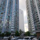 신방한라동백@ 2 이미지