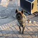 초두농장 이미지