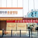 해마루 동물병원 이미지