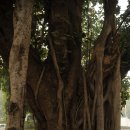 프라자호텔 이미지