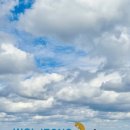 스테이 달 ring 이미지