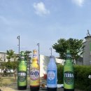 아이 없이 다녀온 도심 속 소풍🍺 2025 대전 도시캠핑대전 &amp; 맥주축제 후기