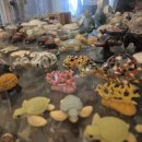 스시카메 | 서울 강남구) 논현동 카메스시 오마카세 내돈내산 후기｜런치 코스 구성 공개, 연말 데이트 맛집 추천!