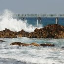 울진시범바다목장해상낚시 이미지