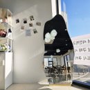 댕댕다방 이미지