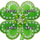 행운클로버