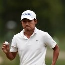PGA(271) 이미지