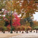 수원-1852 이미지