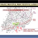 매실농원 이미지